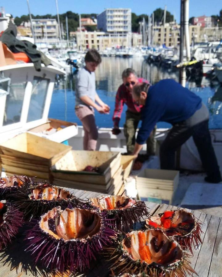 200m de la plage ,3mn du port à 50m du centre ville Carry-le-Rouet Esterno foto